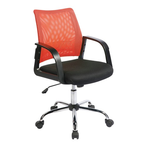 Nautilus calypso medium back - medium,